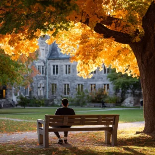 Man sat on a bench at university with autumn leaves