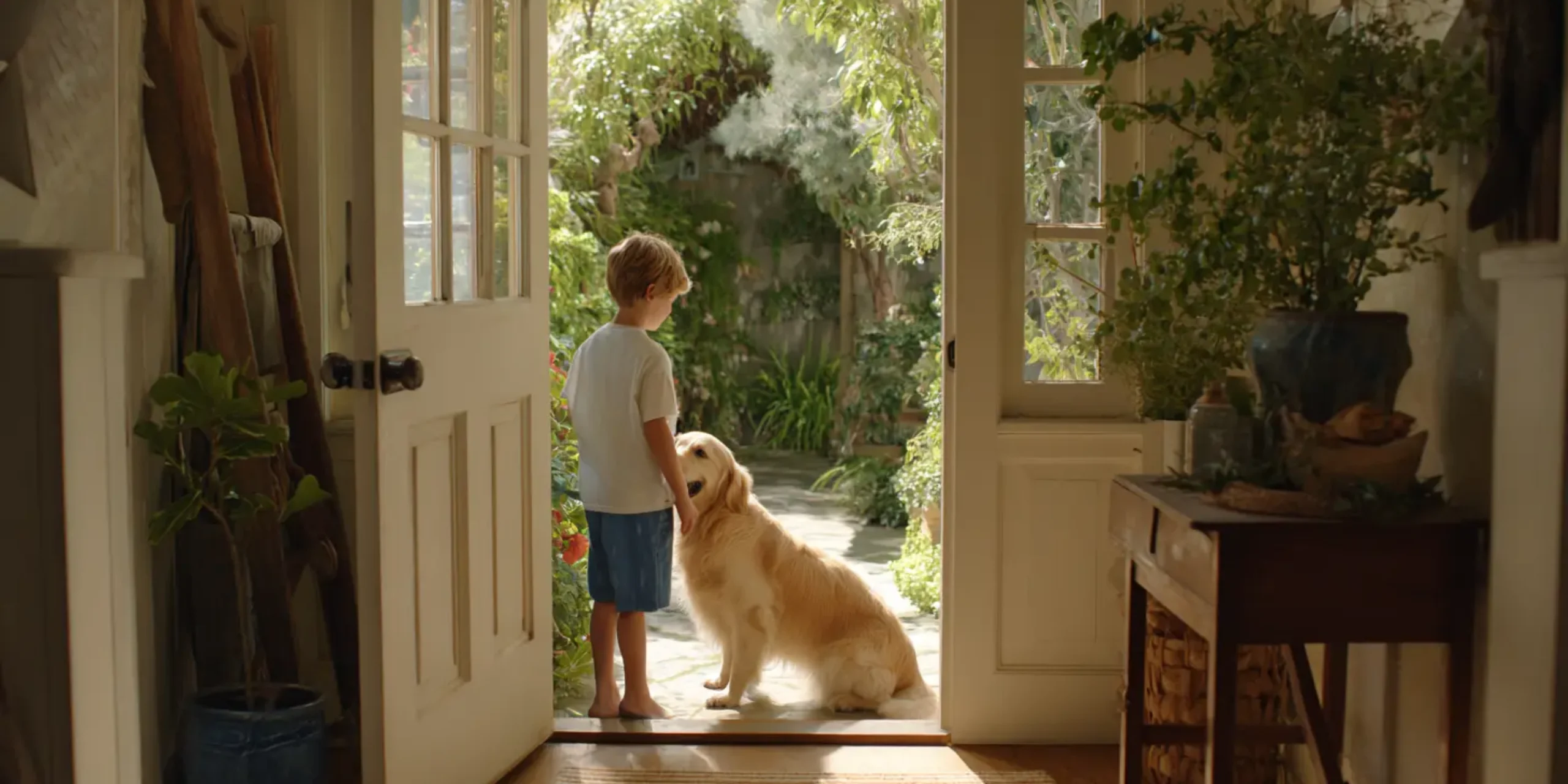 Boy playing with Golden retriever at the entrance of American style home in Hamptons
