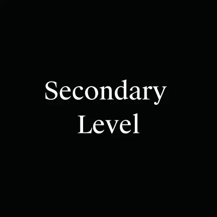 Secondary Level Courses at Lionheart Education